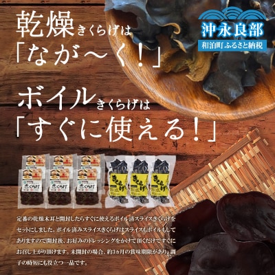 地の利を生かした沖永良部産 恵のきくらげ(ボイル済・乾燥セット)