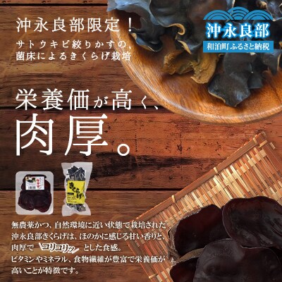 地の利を生かした沖永良部産 恵のきくらげAセット