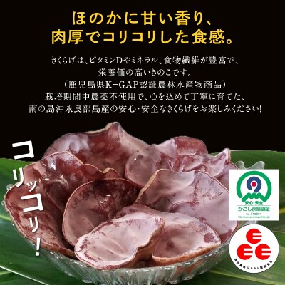 【定形外郵便】さとうきび島きくらげ　50グラム