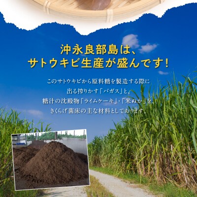 【定形外郵便】さとうきび島きくらげスライス　80グラム