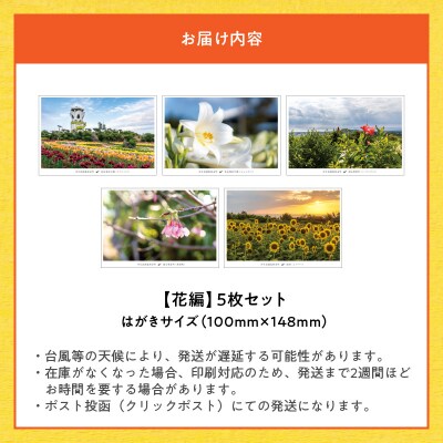  花と癒しの島!沖永良部島オリジナルポストカード(花編)