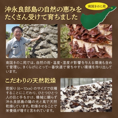 【普通郵便】【定形外郵便】乾燥きくらげスライス20g/沖永良部島特産