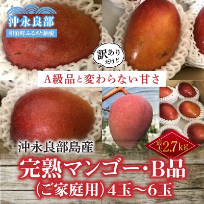 【先行受付】安くて美味しい・完熟マンゴー(ご家庭用)2キロ 4玉～6玉【7月初旬～8月下旬】