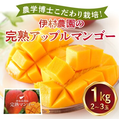 【先行受付】農学博士こだわり栽培!伊村農園の完熟アップルマンゴー1キロ/2～3玉/7月中旬～8月上旬