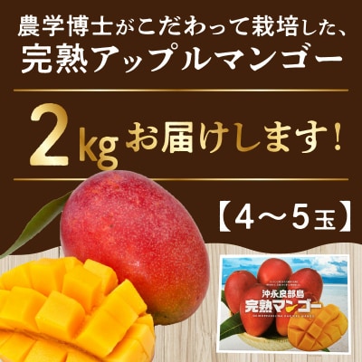 【先行受付】農学博士こだわり栽培!伊村農園の完熟アップルマンゴー2キロ/4～5玉/7月中旬～8月上旬