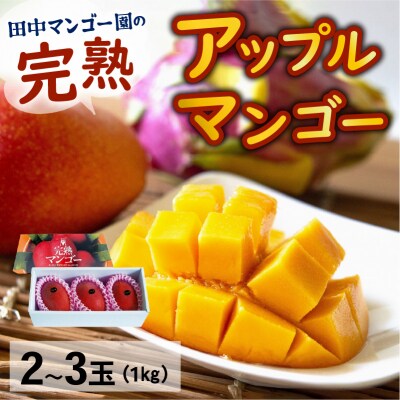 【先行受付】沖永良部完熟アップルマンゴー2～3玉で1キロ【6月下旬～8月中旬】