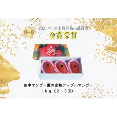 【先行受付】沖永良部完熟アップルマンゴー2～3玉で1キロ【6月下旬～8月中旬】