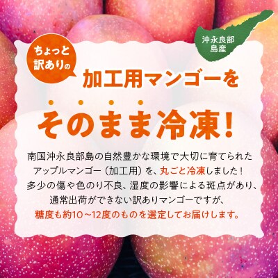 【先行受付】「訳あり」加工用冷凍マンゴー1キロ(2～3玉)/沖永良部島産