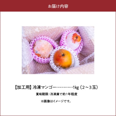 【先行受付】「訳あり」加工用冷凍マンゴー1キロ(2～3玉)/沖永良部島産