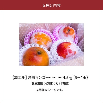 【先行受付】「訳あり」加工用冷凍マンゴー1.5キロ(3～4玉)/沖永良部島産