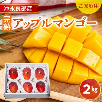 【先行受付】ご家庭用東マンゴー園直送!完熟アップルマンゴー 2kg(4～6玉)【7月中旬～8月中旬】