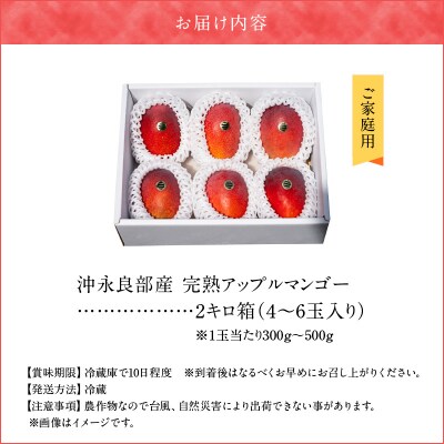 【先行受付】ご家庭用東マンゴー園直送!完熟アップルマンゴー 2kg(4～6玉)【7月中旬～8月中旬】