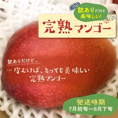 【先行受付】安くて美味しい・完熟マンゴー(ご家庭用)2キロ 4玉～6玉【7月初旬～8月下旬】