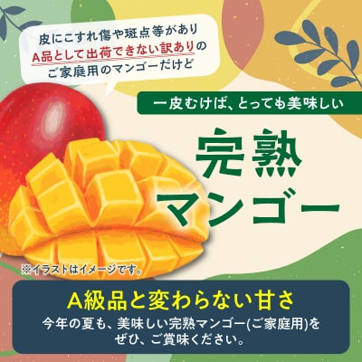 【先行受付】安くて美味しい・完熟マンゴー(ご家庭用)2キロ 4玉～6玉【7月初旬～8月下旬】