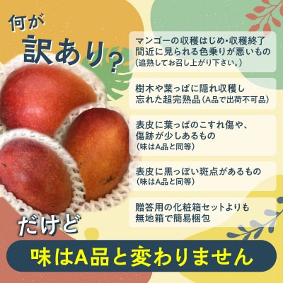 【先行受付】安くて美味しい・完熟マンゴー(ご家庭用)2キロ 4玉～6玉【7月初旬～8月下旬】