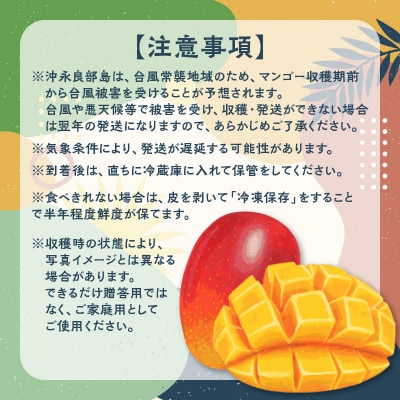 【先行受付】安くて美味しい・完熟マンゴー(ご家庭用)2キロ 4玉～6玉【7月初旬～8月下旬】