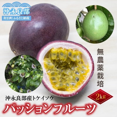 楽天市場】【ふるさと納税】＜先行予約受付中！7月上旬より準備