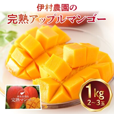 【先行受付】伊村農園の完熟アップルマンゴー1キロ(2～3玉)7月中旬～8月上旬