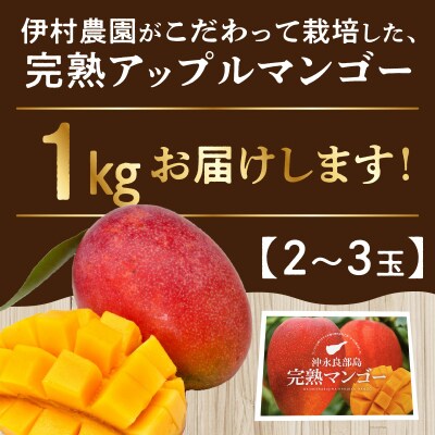 【先行受付】伊村農園の完熟アップルマンゴー1キロ(2～3玉)7月中旬～8月上旬