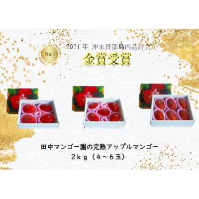 【先行受付】沖永良部完熟アップルマンゴー4～6玉で2キロ【6月下旬～8月中旬】