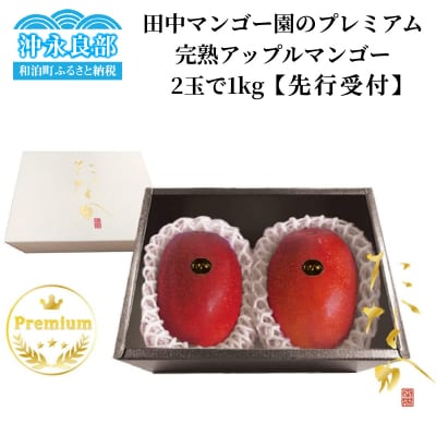 【先行受付】田中マンゴー園のプレミアム完熟アップルマンゴー2玉で1キロ【7月中旬～8月中旬】