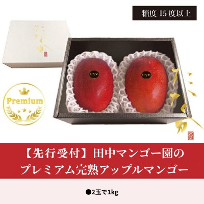 【先行受付】田中マンゴー園のプレミアム完熟アップルマンゴー2玉で1キロ【7月中旬～8月中旬】