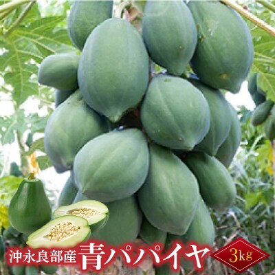 酵素たっぷり「青パパイヤ」3キロ