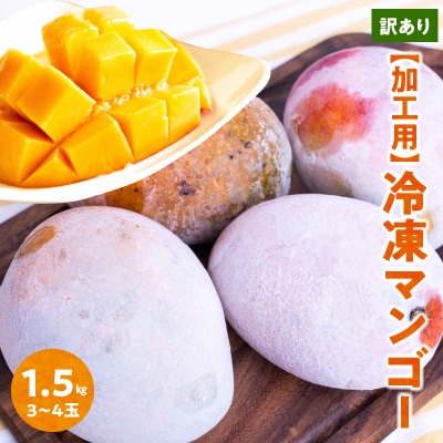 【先行受付】「訳あり」加工用冷凍マンゴー1.5キロ(3～4玉)/沖永良部島産