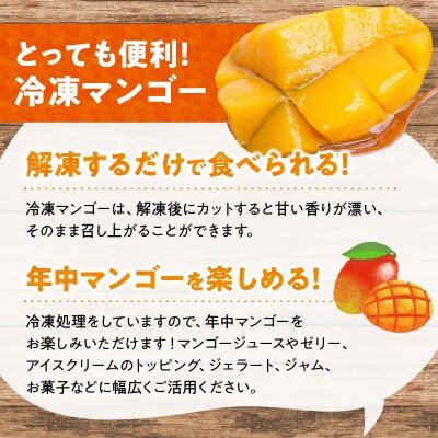 【先行受付】「訳あり」加工用冷凍マンゴー1.5キロ(3～4玉)/沖永良部島産