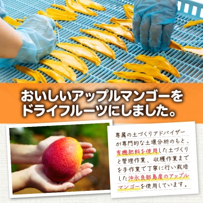 和泊町実験農場土づくりアドバイザーこだわりのアップルマンゴードライフルーツ!40グラム×2袋
