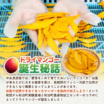 和泊町実験農場土づくりアドバイザーこだわりのアップルマンゴードライフルーツ!40グラム×3袋
