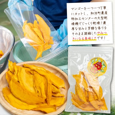 和泊町実験農場土づくりアドバイザーこだわりのアップルマンゴードライフルーツ!40グラム×3袋