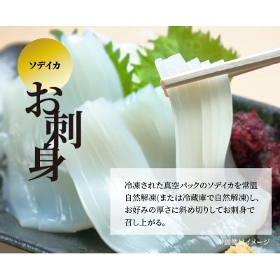 【サイズ不揃い】ソデイカ・刺身用ブロック　1キロ/沖永良部島特産