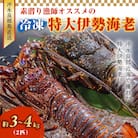 沖永良部島直送!素潜り漁師オススメの特大冷凍伊勢海老 約3～4キロ(2匹)