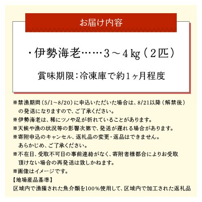 沖永良部島直送!素潜り漁師オススメの特大冷凍伊勢海老 約3～4キロ(2匹)
