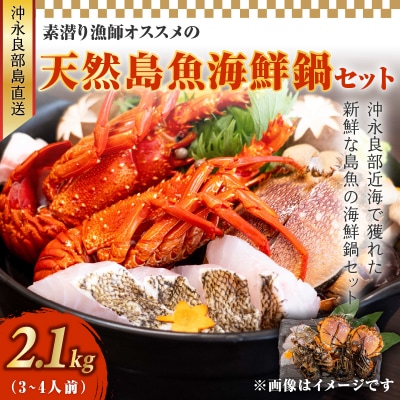 沖永良部島直送!素潜り漁師オススメの天然島魚 海鮮鍋セット2.1キロ(3～4人前)