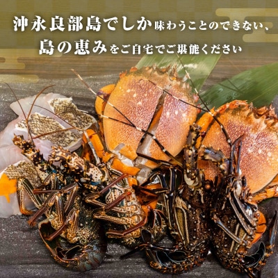 沖永良部島直送!素潜り漁師オススメの天然島魚 海鮮鍋セット4.2キロ(6～8人前)