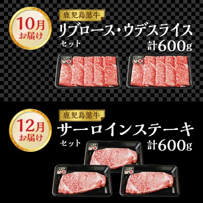 偶数月にお届け!鹿児島黒牛定期便 6回定期便