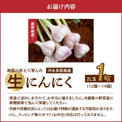 【先行受付】農家厳選!南国の赤土で育んだ 沖永良部島産 生にんにく2L玉 1キロ【3月下旬～4月下】