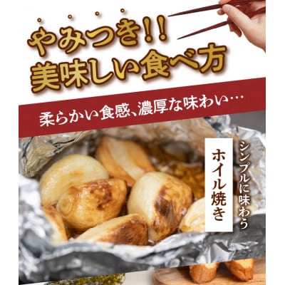 【先行受付】農家厳選!南国の赤土で育んだ 沖永良部島産 生にんにく2L玉2キロ【3月下旬～4月下旬】