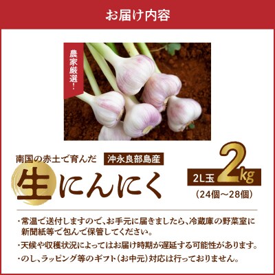【先行受付】農家厳選!南国の赤土で育んだ 沖永良部島産 生にんにく2L玉2キロ【3月下旬～4月下旬】