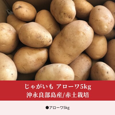 【先行受付】沖永良部島産 おいしい赤土じゃがいもアローワ5キロ【前半】【2月初旬～5月下旬】