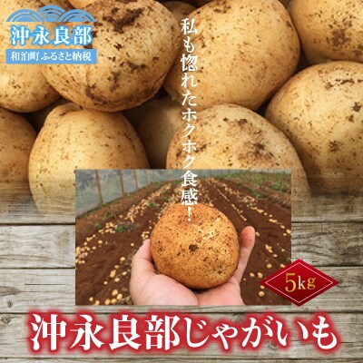 【先行受付】私も惚れたホクホク食感!まるとよ農産の「沖永良部じゃがいも」5キロ【1月下旬～5月下旬】