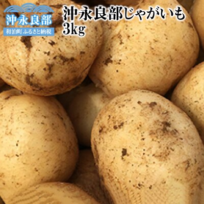 【先行受付】私も惚れたホクホク食感!まるとよ農産の「沖永良部じゃがいも」3キロ【1月下旬～5月下旬】