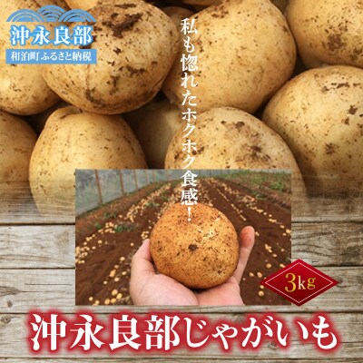 【先行受付】私も惚れたホクホク食感!まるとよ農産の「沖永良部じゃがいも」3キロ【1月下旬～5月下旬】