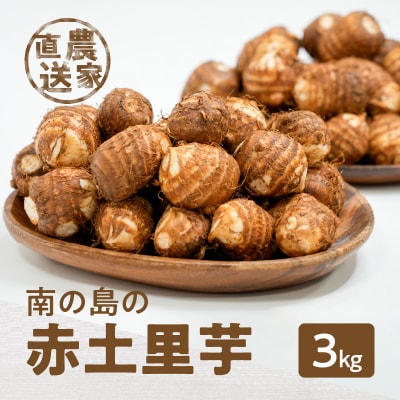 【先行受付】農家直送!栽培歴40年!南の島の赤土里芋3キロ!【5月上旬～6月下旬】