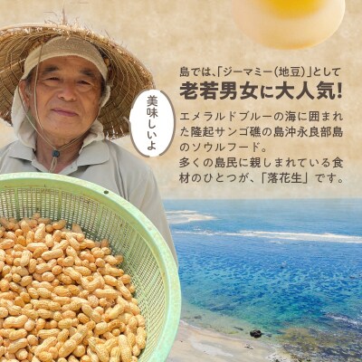 【先行受付】夏本番!珊瑚の島から贈り物!沖永良部島の赤土 生落花生3キロ!【7月中旬～9月上旬】