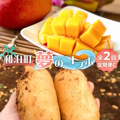 和泊町「夢」のコラボ【2回】定期便C