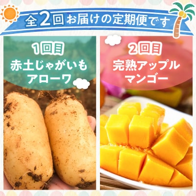和泊町「夢」のコラボ【2回】定期便C