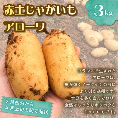 和泊町「夢」のコラボ【2回】定期便C
